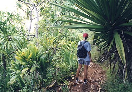 In the middle of Kalalau Trail